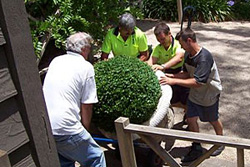 Specialist Adelaide Hills Removalists